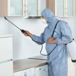 Safe Homes Start With Smart Pest Prevention