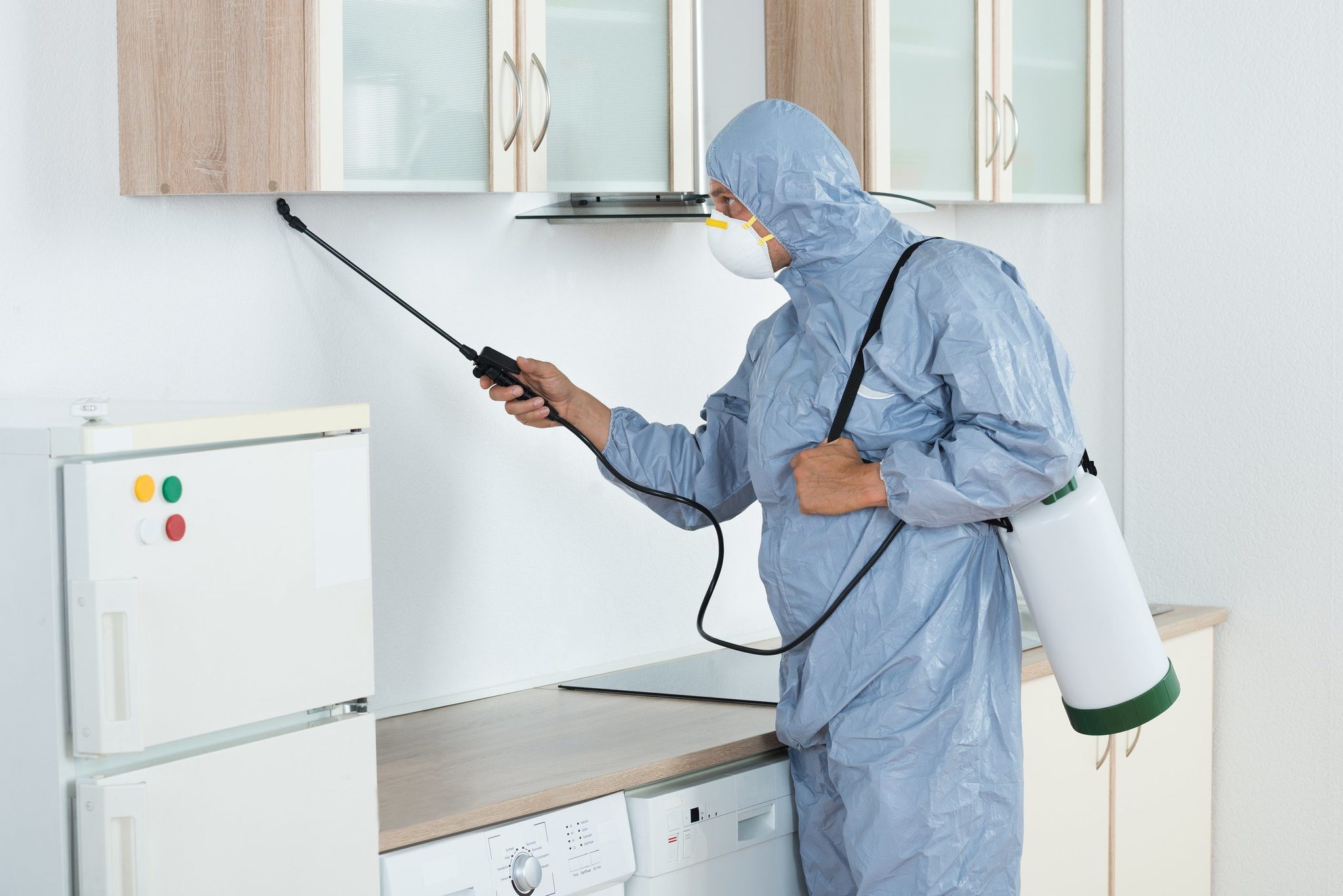 Safe Homes Start With Smart Pest Prevention