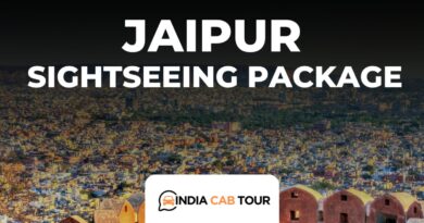 jaipur sight image 1