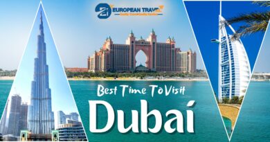 Dubai tour package 2 2