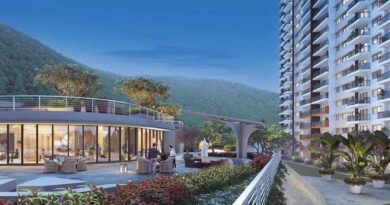 shapoorji Pallonji vanaha 1 1