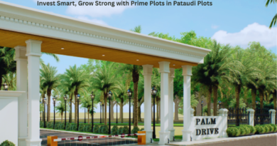 Palm Drive