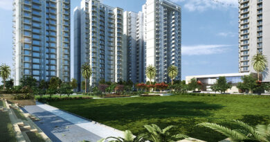 Sobha Hoskote