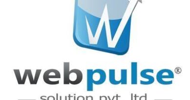 webpulse logo